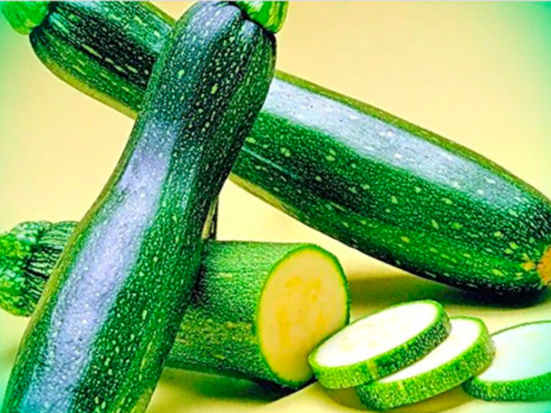 What kind of zucchini to plant Zucchini varieties