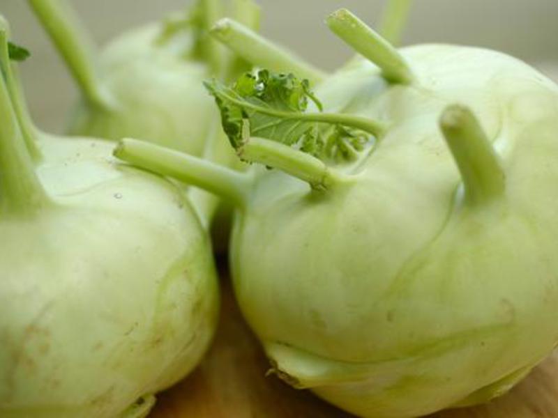 Why is kohlrabi cabbage useful? How kohlrabi grows
