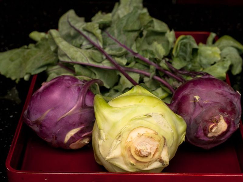 Kohlrabi properties What is the use of kohlrabi