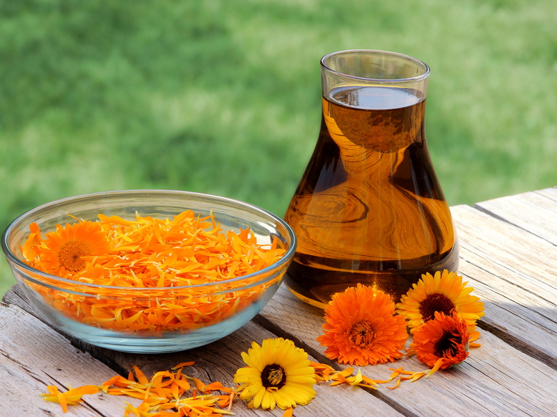 Calendula oil Why is calendula useful?