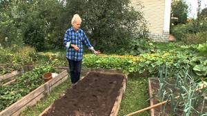 How to properly prepare the soil for sowing tomato