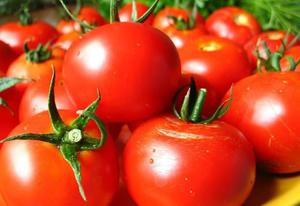 Types and varieties of tomatoes