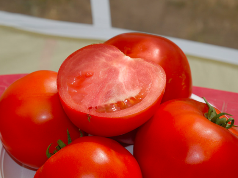 How to plant tomatoes correctly