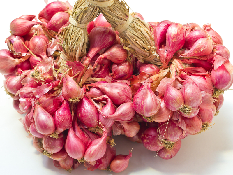 Harvest shallots How to grow shallots