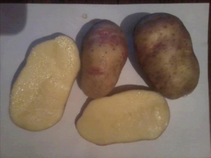 Variety characteristic Seed potatoes