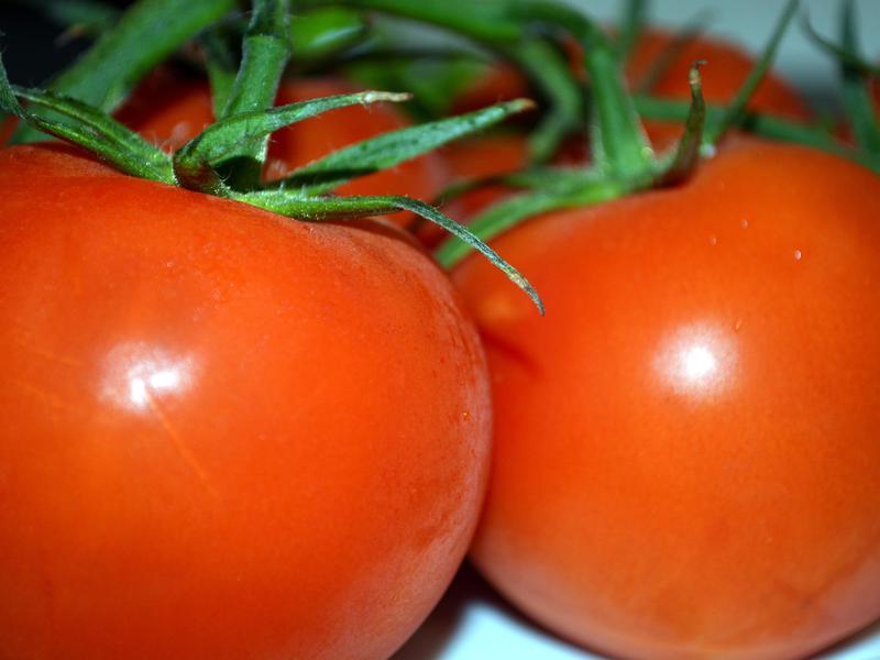 Cherry tomatoes on the balcony Tomatoes in the greenhouse.