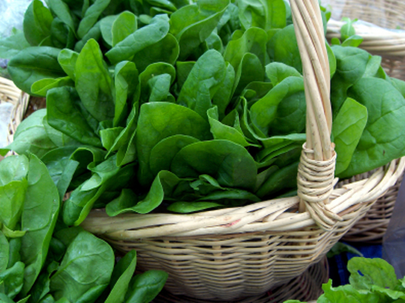 Spinach care is not difficult Product benefits.