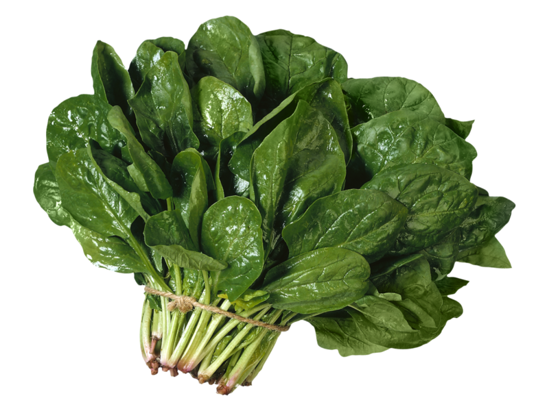 Spinach care is not difficult How to grow spinach