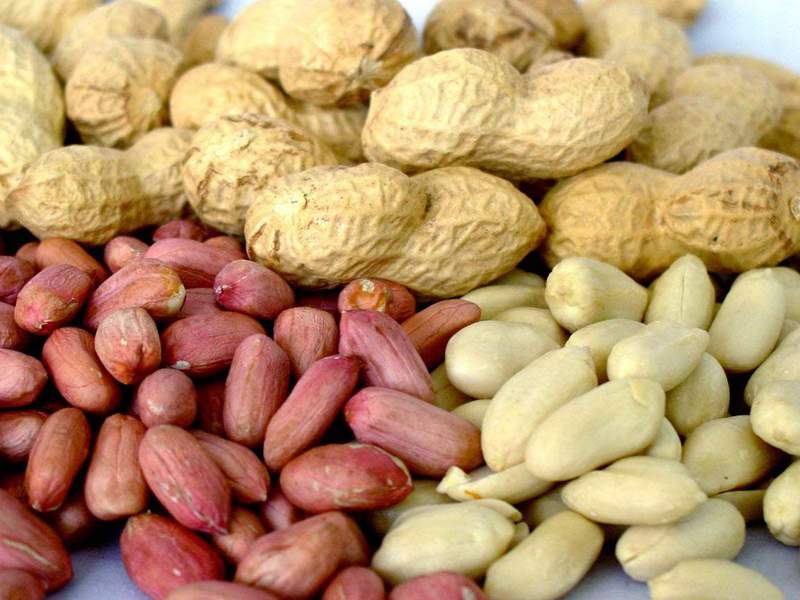 You can also grow peanuts in a seedling way. How to prepare the land for planting peanuts