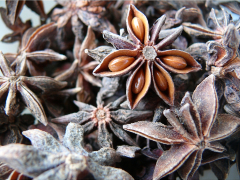 How anise is used Anise plant