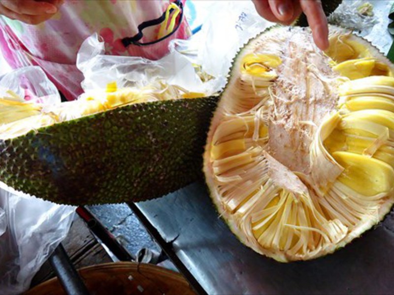 Ripe breadfruit Breadfruit