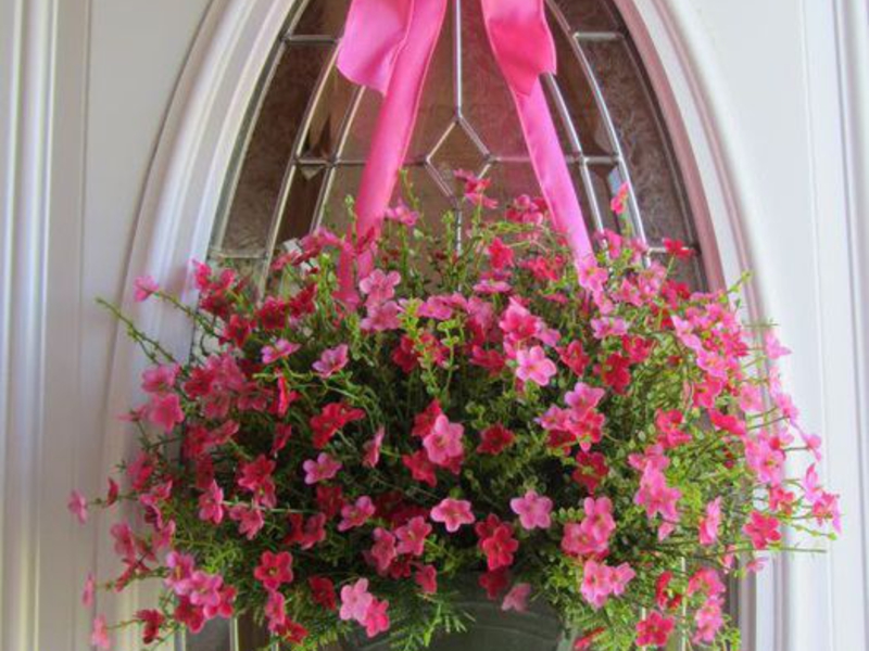 In hanging pots, balsam