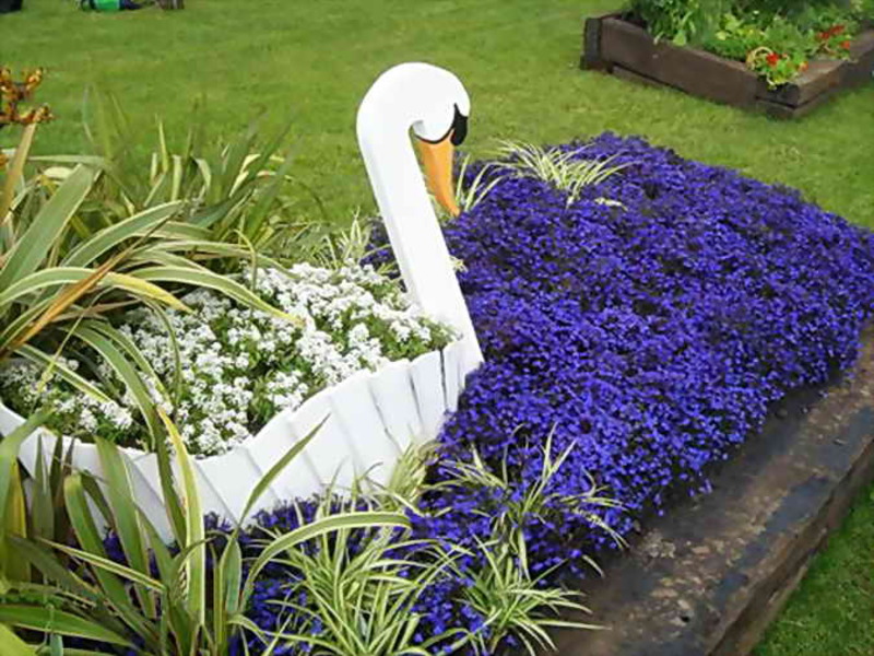 The use of lobelia in landscape design Ampel lobelia