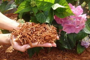 Soil mulching - why is it needed?