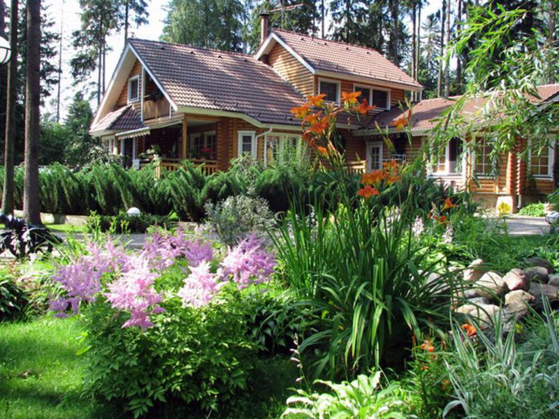 Description of methods for breeding daylily How to properly care for daylilies