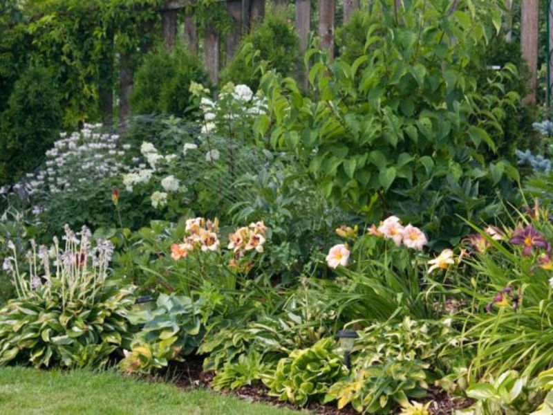 Combining daylilies with other flowers Flower garden decoration