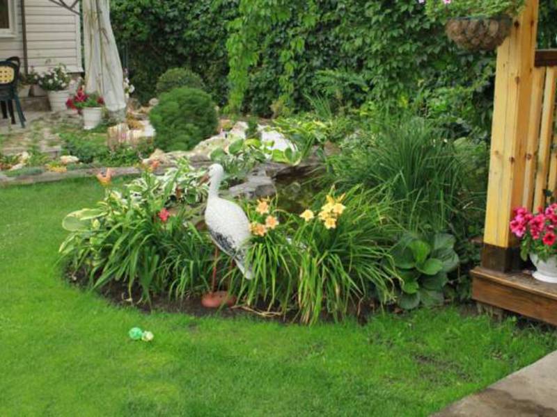 How to use daylilies in the garden Daylilies and other flowers