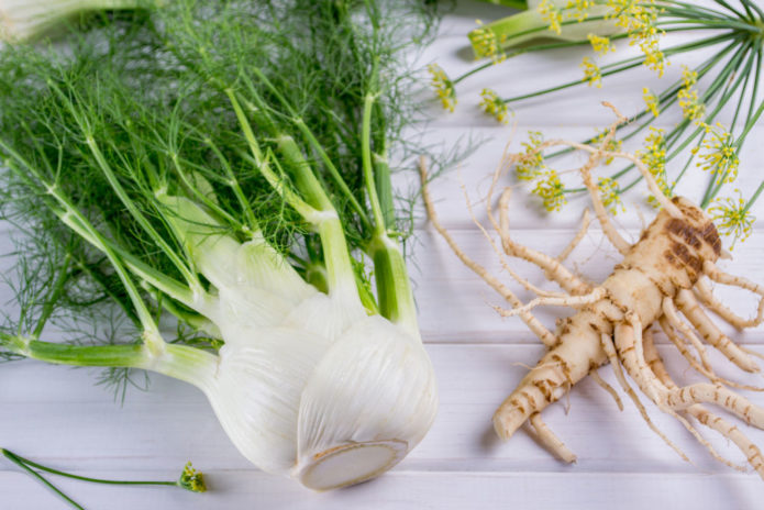 Fennel root, bulb, stems and flowers