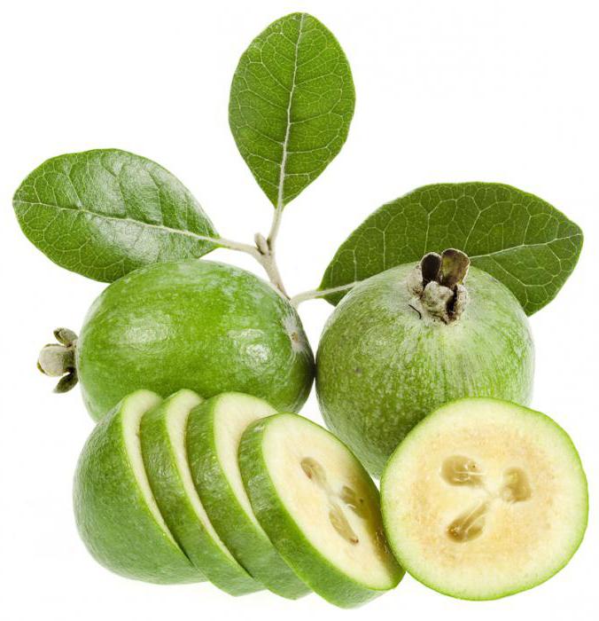 Feijoa fruit cutaway