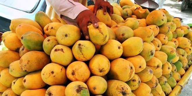 Mango Chausa