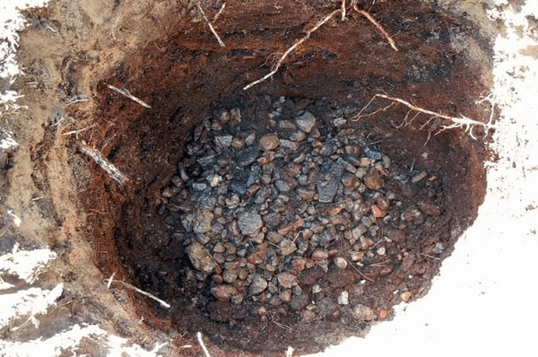 Drainage layer at the bottom of the planting pit
