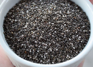 Garden blueberry seeds