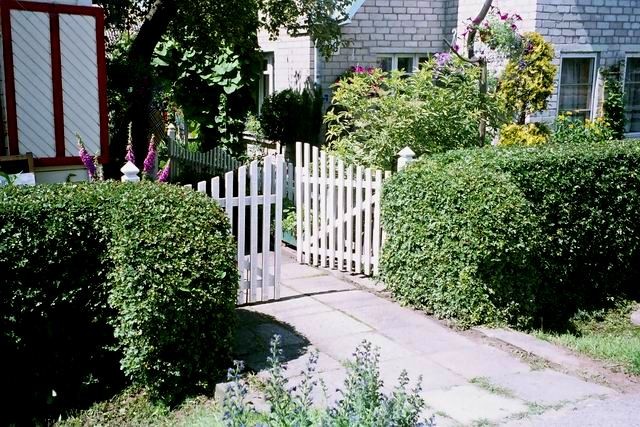 Suitable place for planting hawthorn