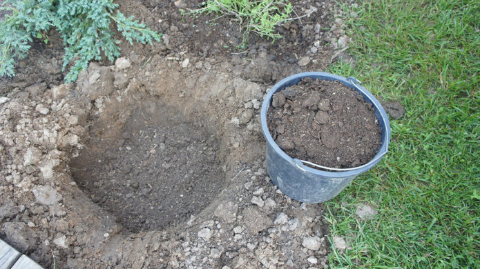 Planting pit preparation