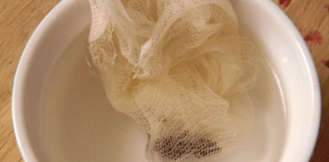 Soaking chokeberry seeds