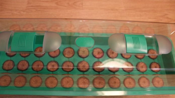 Micro-greenhouse (mini-greenhouse)