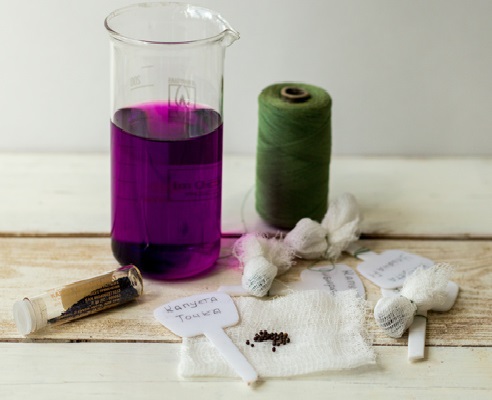 Potassium permanganate solution for seed disinfection