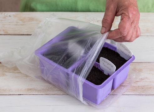 Container with crops in polyethylene