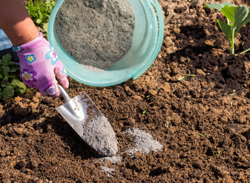 Fertilizing the hole