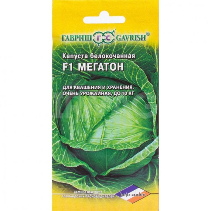 Cabbage from Gavrish