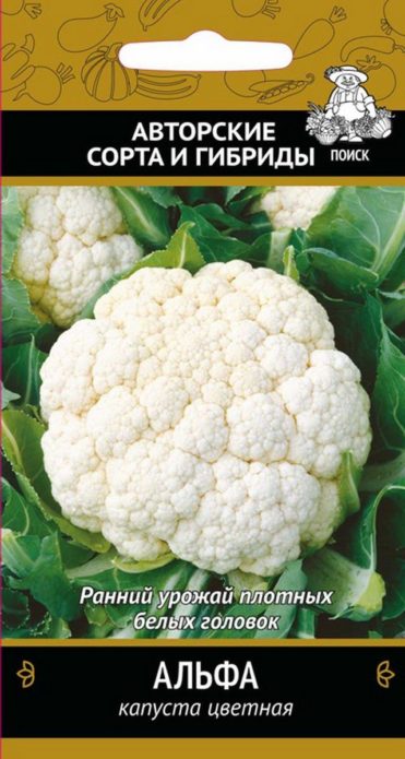 Alpha Cabbage Seed Paktik