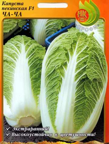 Peking cabbage Cha-Cha F1