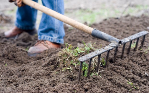 Loosening the soil