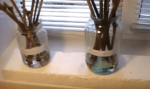 Jars with grape cuttings on the window