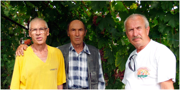 Krainov, Voronyuk and Nevzorov at the Exhibition of Achievements of Winegrowers