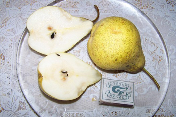 Pear Just Maria in a cut