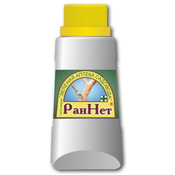 Paste-putty RanNet