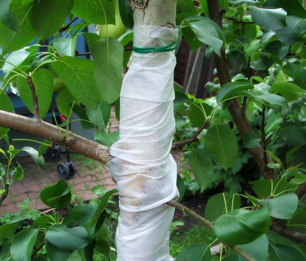 Garden bandage