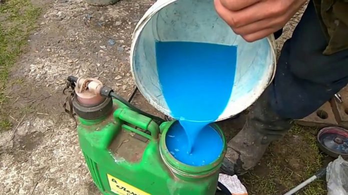 Pouring solution into the sprayer