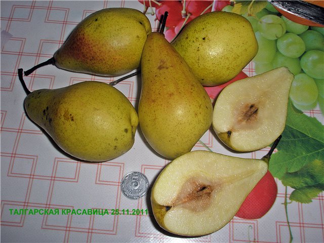 Pear cutaway