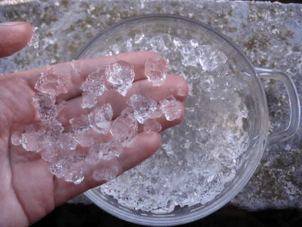 Hydrogel for seed germination