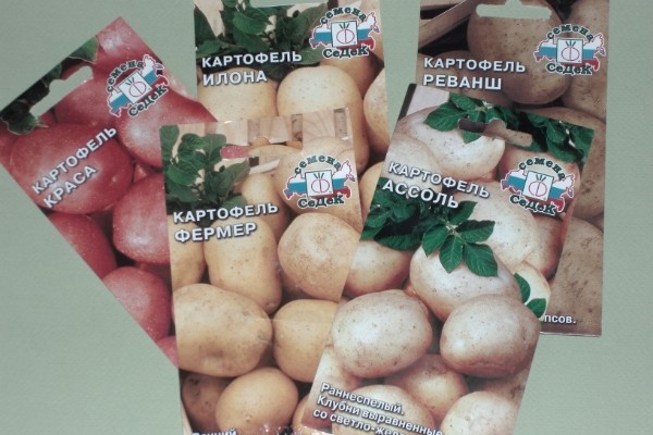 Potato seed bags