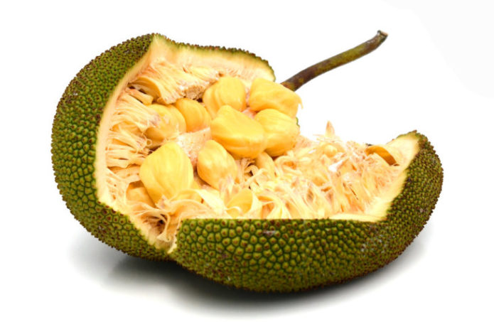 Jackfruit
