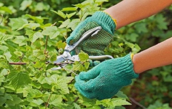 Cutting out damaged fragments