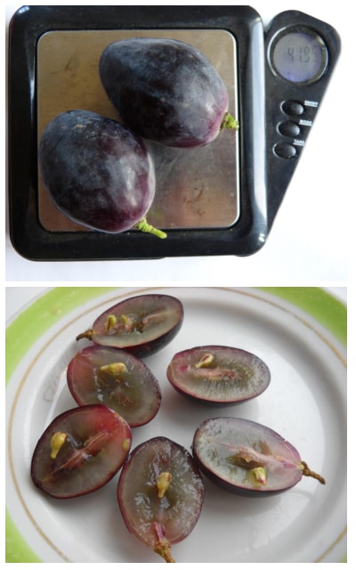 Furor grapes in the cut