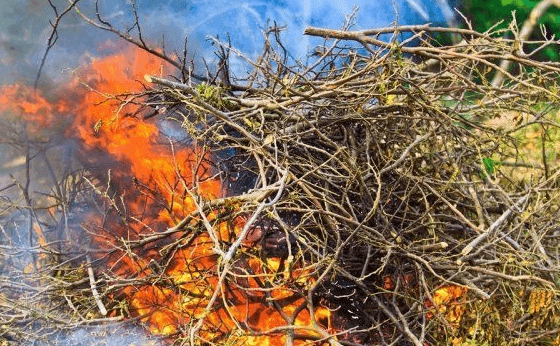 Bonfire in the garden